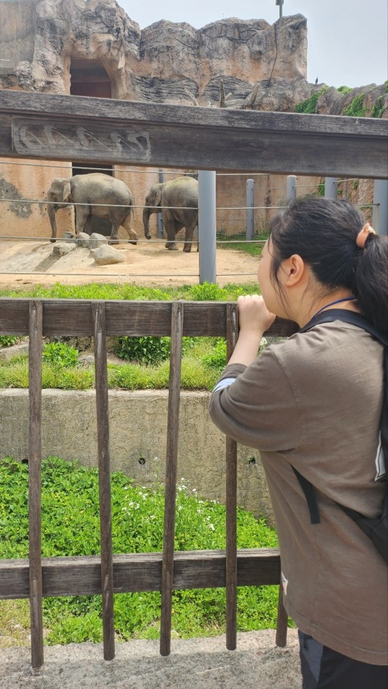 7440b6cf5ace6529e181370e909ddc2d_1750293415_7415.jpg 7440b6cf5ace6529e181370e909ddc2d_1750293415_7415.jpg