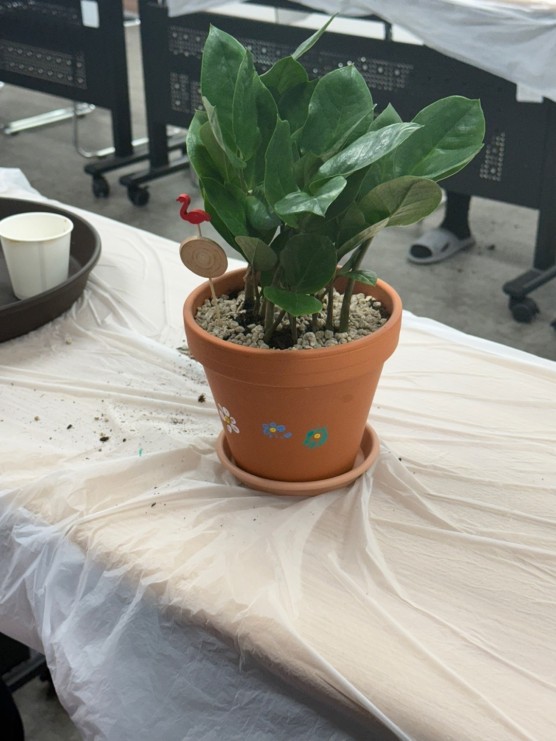 8ac8543f77c572cff7337bb770a6e5f8_1750218663_123.jpg 8ac8543f77c572cff7337bb770a6e5f8_1750218663_123.jpg